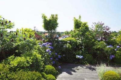 屋顶花园
